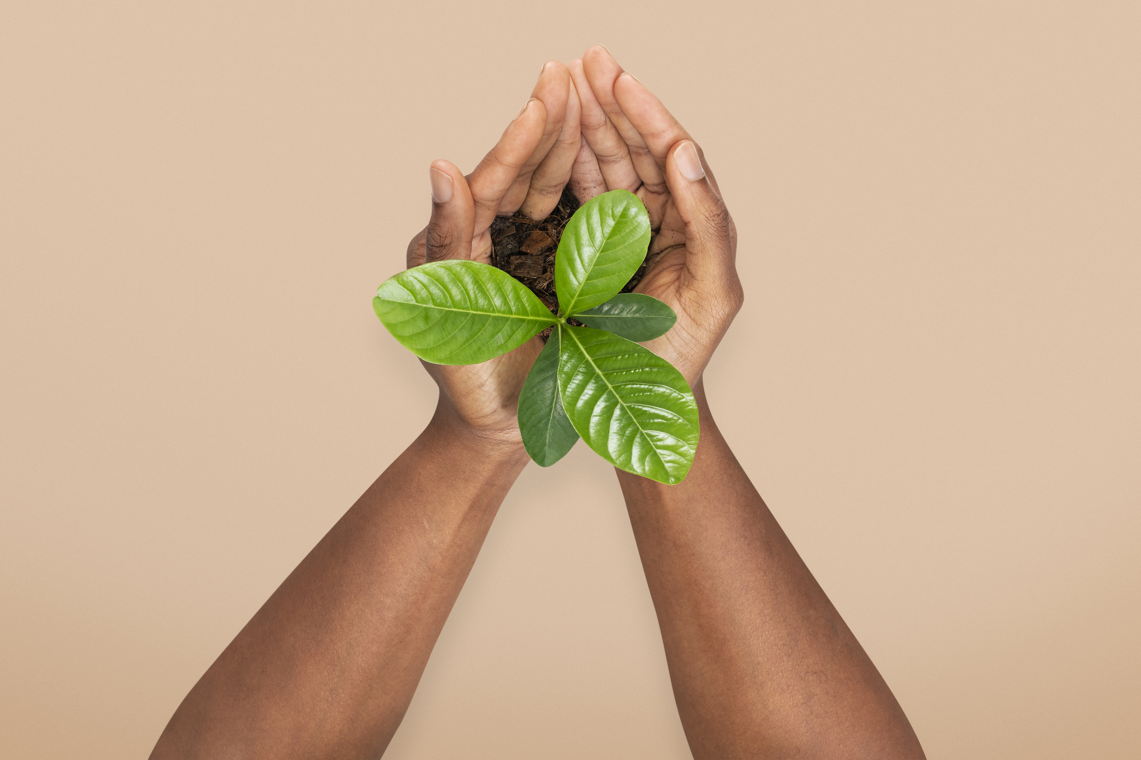 Environmental Stewardship